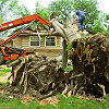 Damaged tree removal Win Henderson / Wikimedia 