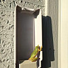 frog on garage door keypad by Todd Van Hoosear / flickr 