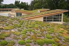 Shed Roofs Photo: Arlington VA/flickr