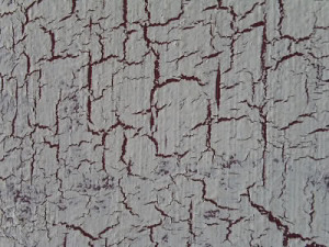 crackle paint texture