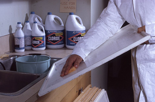Disinfecting with bleach  R6, State & Private Forestry, Forest Health Protection / flickr   