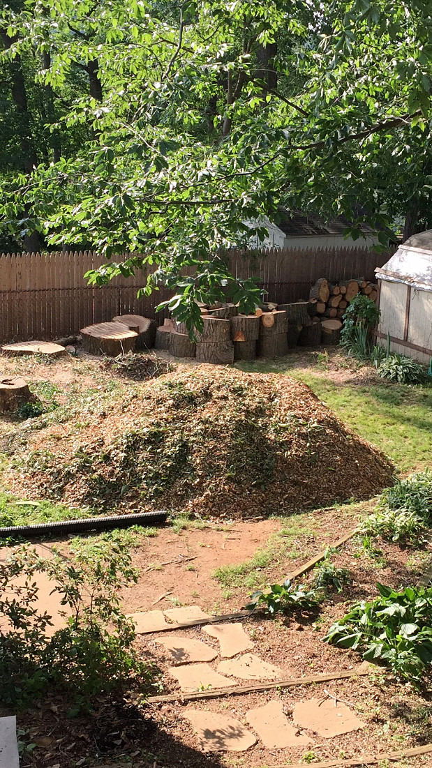 Nothing left but firewood and mulch
