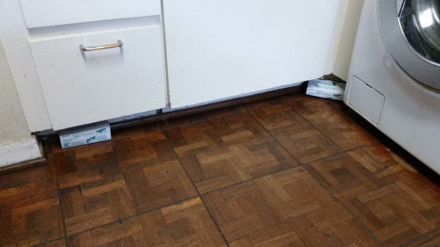 Two mouse traps in kitchen