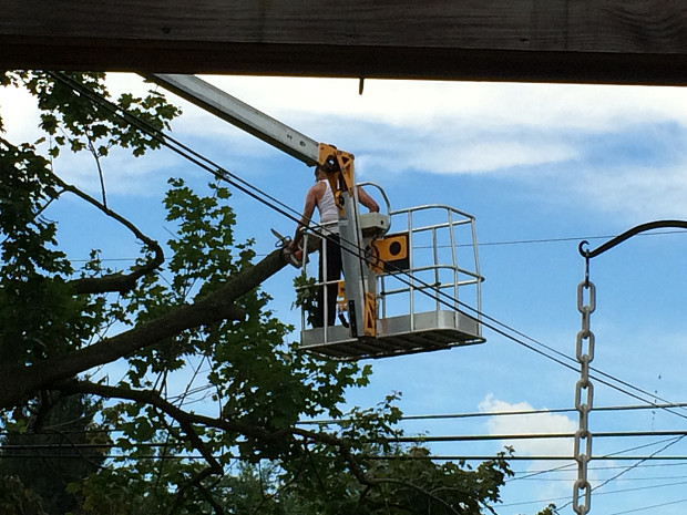 Tree removal without damaging electrical wires